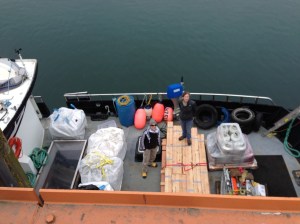 Paula, left. WideEyedFunk, right. Image by C. Haupert 5/7/14.