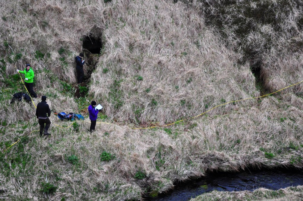 Japanese WWII cave openings on the Bering Sea coast. Photos by B. Hoffman 2014.
