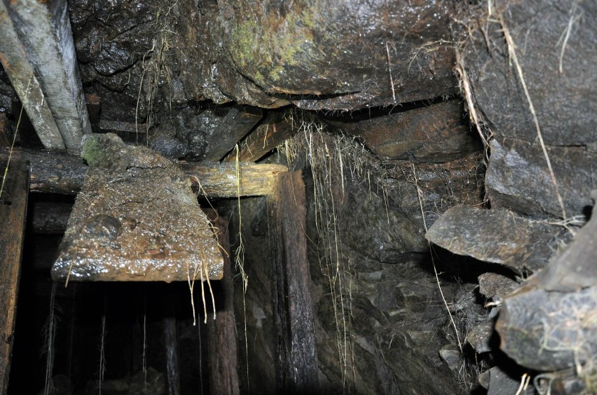 The ceiling. Photo by B. Hoffman 2014.