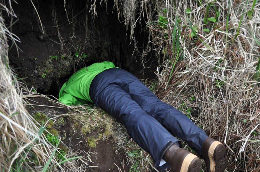 WEF thinking about life, science, fear. Photo by B. Hoffman 2014.