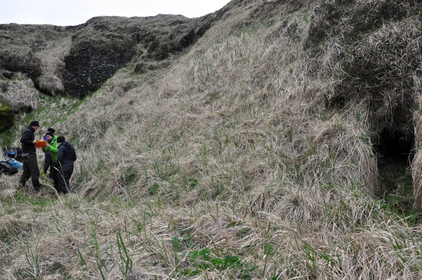 Japanese WWII cave opening. Photo by B. Hoffman 2014.