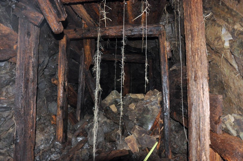 The timbers. Photo by B. Hoffman 2014.