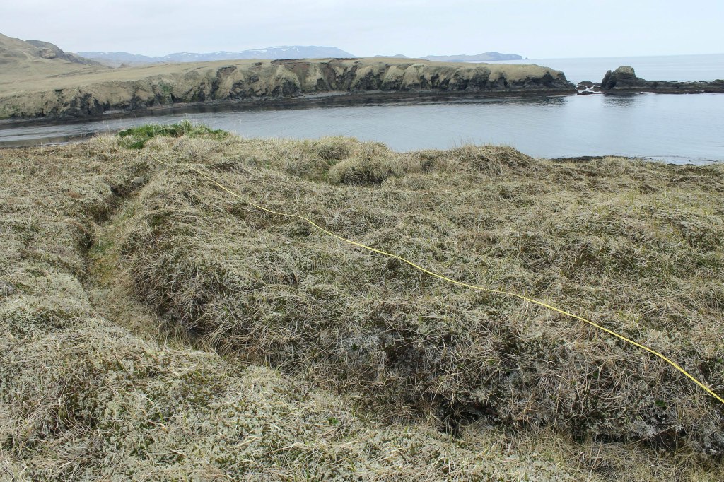 Japanese trench on Bering Sea coast. Photo by H. Harmsen 2014.