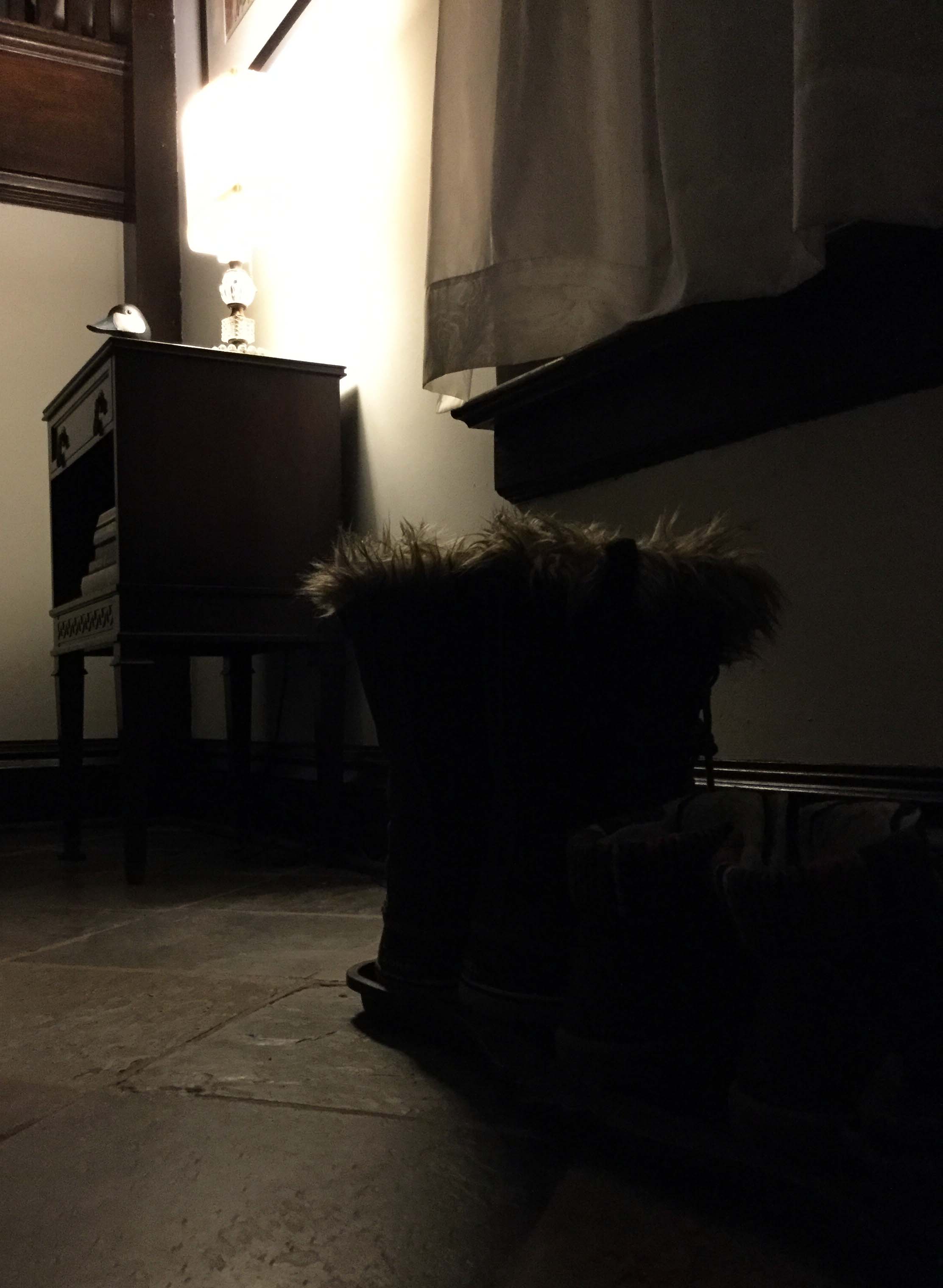 image of snow boots