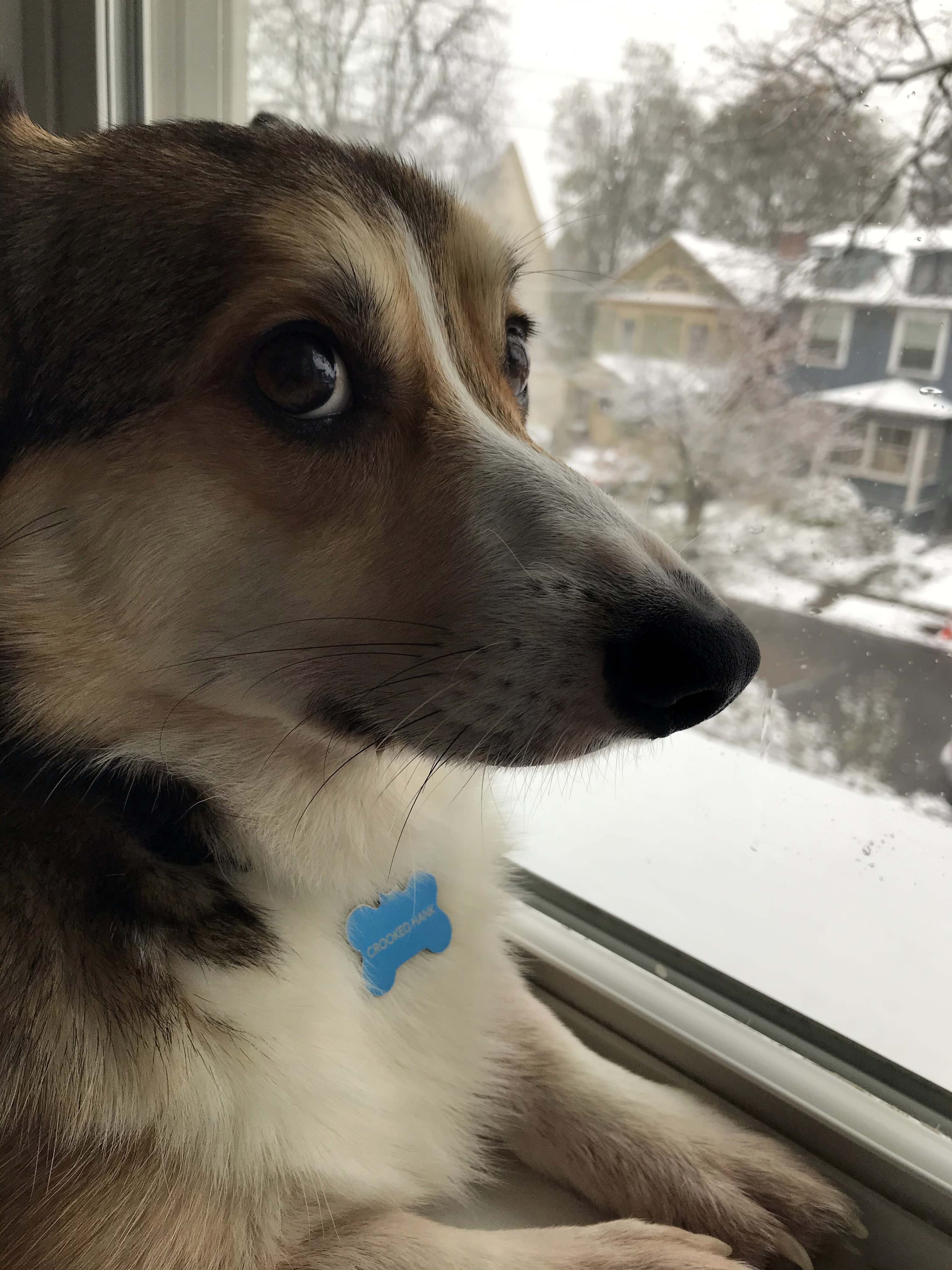 Crooked Hank has an opinion